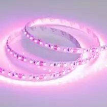Лента светодиодная Arlight RT открытая 015897(2)