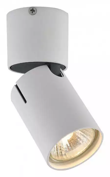 Спот Vele Luce Carrisi VL8061S21 1_VLL_VL8061S21.webp big