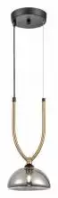 Подвесной светильник Vele Luce Cloe VL5434P01 1_VLL_VL5434P01.webp small