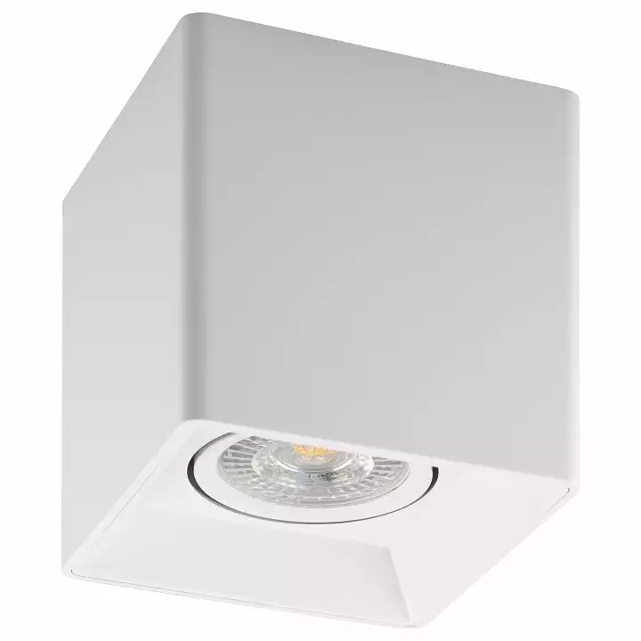 Накладной светильник Denkirs DK3020WW DK3030-WH 0_DK_DK3030-WH.webp big