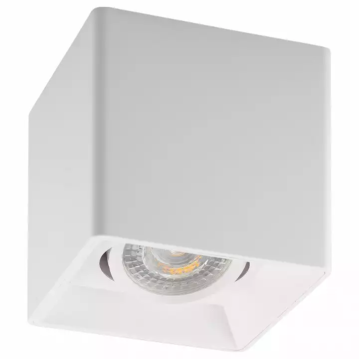Накладной светильник Denkirs DK3020WW DK3030-WH 1_DK_DK3030-WH.webp big