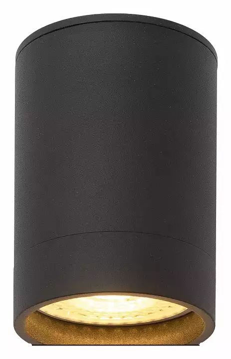 Накладной светильник Denkirs DK2000 DK2050-BK 1_DK_DK2050-BK.webp big