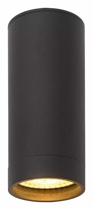 Накладной светильник Denkirs DK2000 DK2051-BK 1_DK_DK2051-BK.webp big