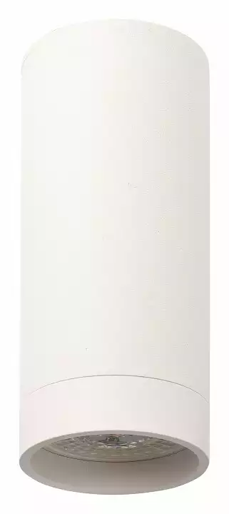 Накладной светильник Denkirs DK2000 DK2051-WH 0_DK_DK2051-WH.webp big
