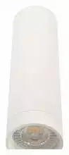 Накладной светильник Denkirs DK2000 DK2052-WH 2_DK_DK2052-WH.webp small