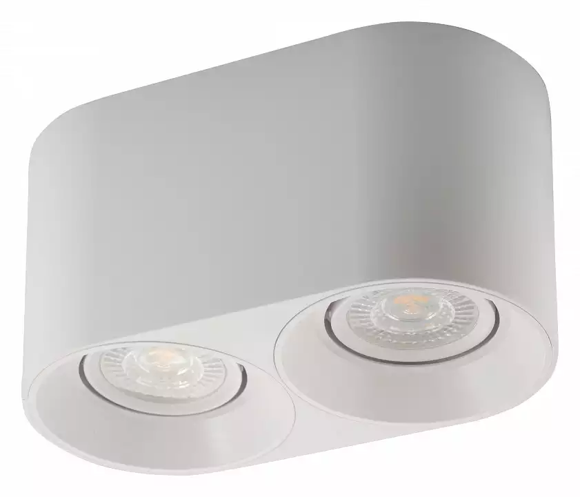 Накладной светильник Denkirs DK3020WW DK3036-WH 1_DK_DK3036-WH.webp big