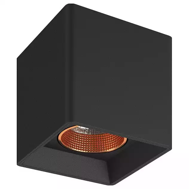 Накладной светильник Denkirs DK3020BВ DK3080-BBR 1_DK_DK3080-BBR.webp big