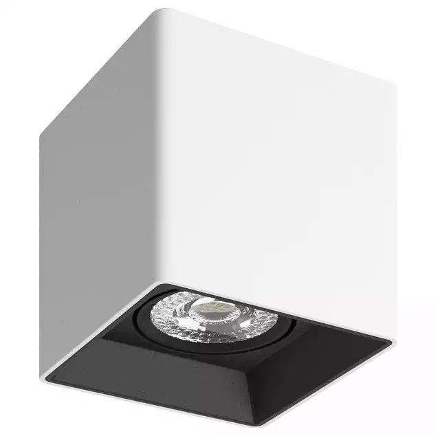 Накладной светильник Denkirs DK3020WB DK3030-WB 1_DK_DK3030-WB.webp big