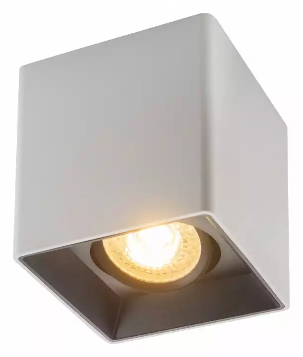 Накладной светильник Denkirs DK3020WB DK3030-WB 2_DK_DK3030-WB.webp big