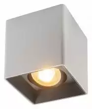 Накладной светильник Denkirs DK3020WB DK3030-WB 2_DK_DK3030-WB.webp small