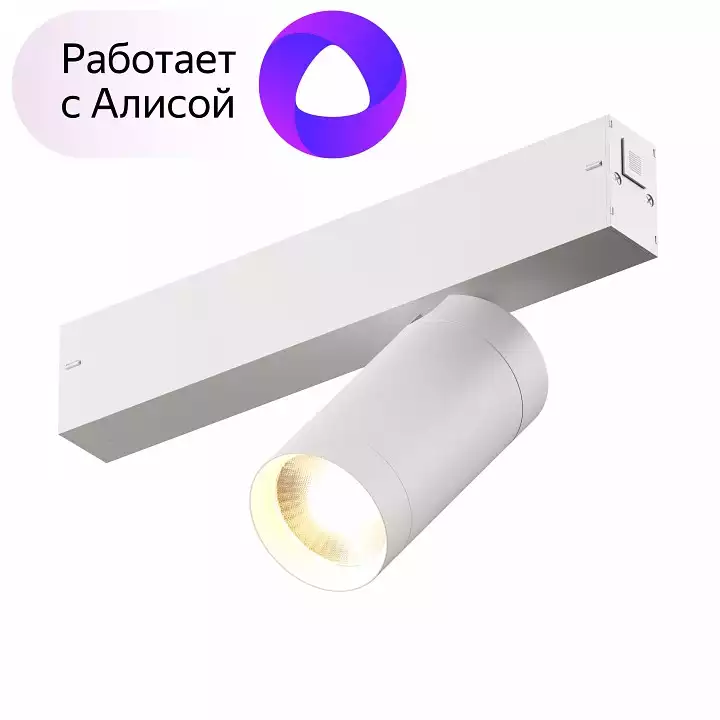 Светильник на штанге Denkirs Dk80 DK8010-WH 1_DK_DK8010-WH.webp big