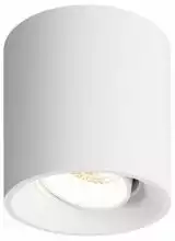 Накладной светильник Denkirs DK3020WW DK3090-WH 1_DK_DK3090-WH.webp small