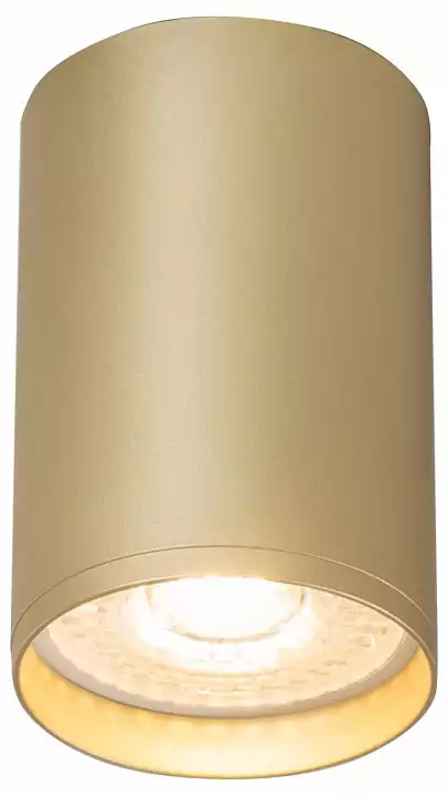 Накладной светильник Denkirs Tube DK2050-SG 1_DK_DK2050-SG.webp big