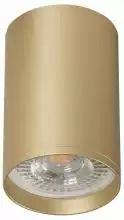 Накладной светильник Denkirs Tube DK2050-SG