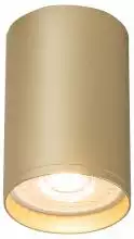 Накладной светильник Denkirs Tube DK2050-SG 1_DK_DK2050-SG.webp small