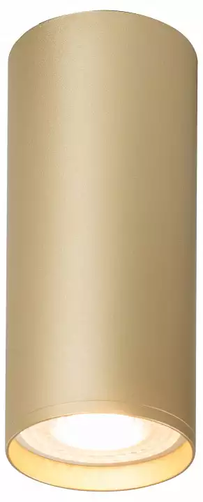Накладной светильник Denkirs Tube DK2051-SG 1_DK_DK2051-SG.webp big