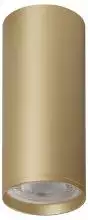Накладной светильник Denkirs Tube DK2051-SG 0_DK_DK2051-SG.webp small