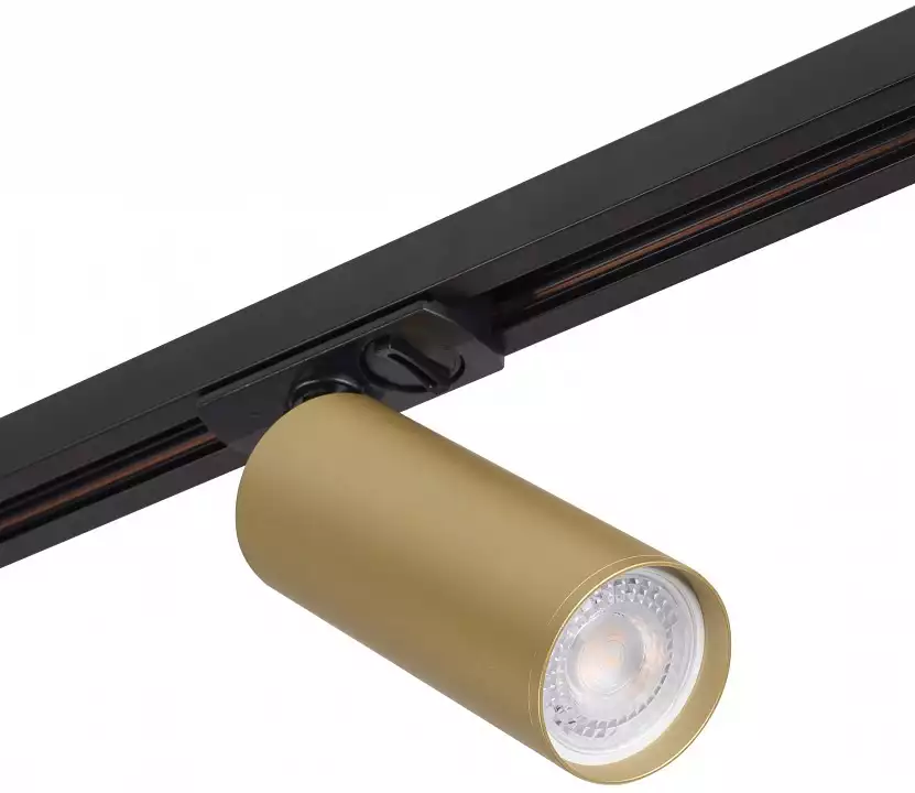 Светильник на штанге Denkirs Tube DK6202-BG 0_DK_DK6202-BG.webp big