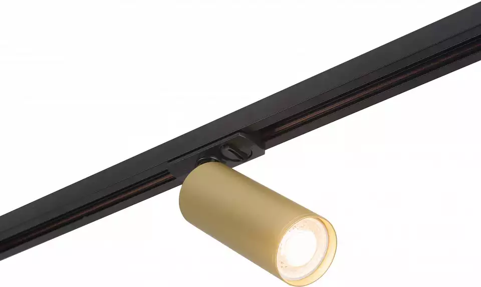Светильник на штанге Denkirs Tube DK6202-BG 1_DK_DK6202-BG.webp big