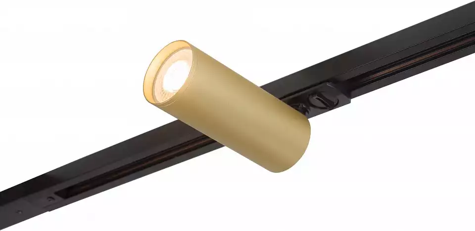 Светильник на штанге Denkirs Tube DK6202-BG 7_DK_DK6202-BG.webp big