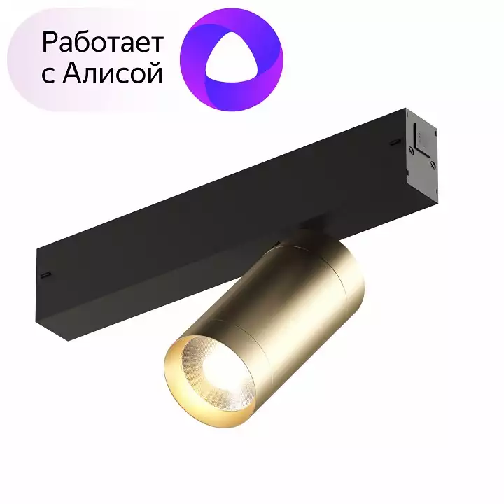 Светильник на штанге Denkirs Smart DK8010-BG 1_DK_DK8010-BG.webp big