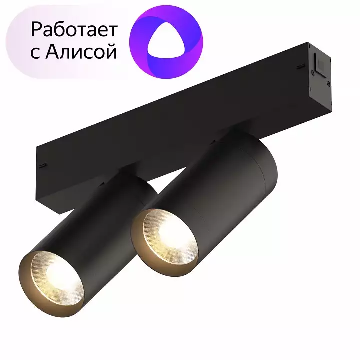 Светильник на штанге Denkirs Smart DK8012-BK 1_DK_DK8012-BK.webp big