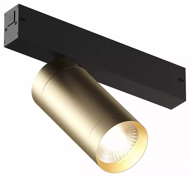 Светильник на штанге Denkirs Smart DK8020-BG 0_DK_DK8020-BG.webp big