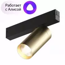 Светильник на штанге Denkirs Smart DK8020-BG 1_DK_DK8020-BG.webp small