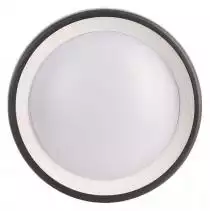 Накладной светильник Deko-Light Canis 731043 1_DKL_731043.webp small