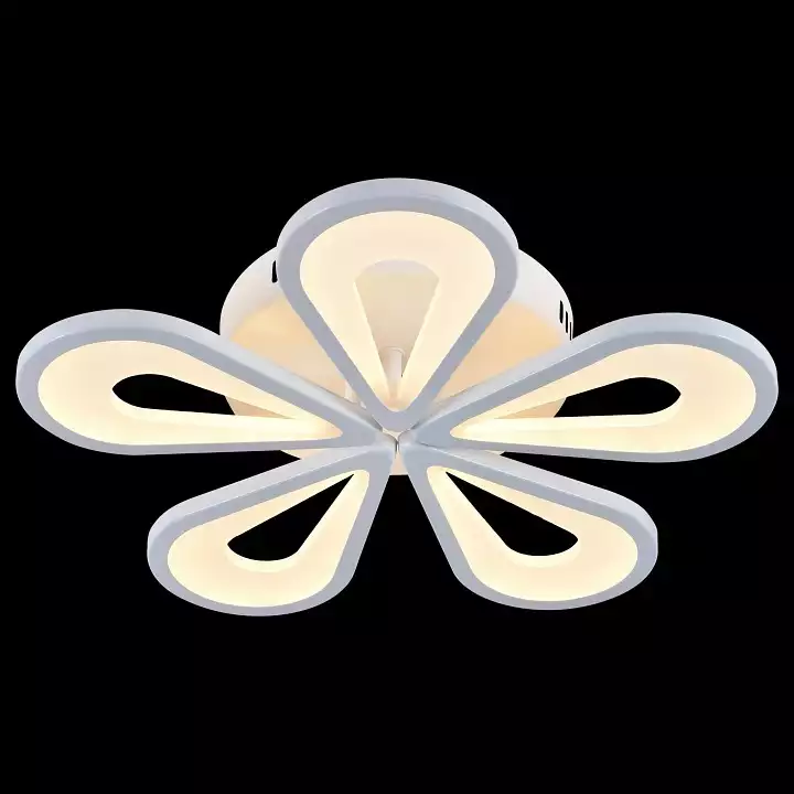 Потолочная люстра Escada Kamille 10206/5LED White 4_ESC_10206_5LED_White.webp big