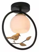 Накладной светильник Escada Song 1113/1P Black 0_ESC_1113_1P_Black.webp small
