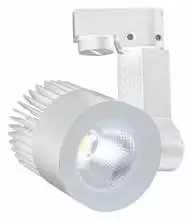 Светильник на штанге Escada 20030 20030TRA/02LED SWH