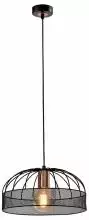 Подвесной светильник Rivoli Theda Б0050331 1_RVL_B0050331.webp small