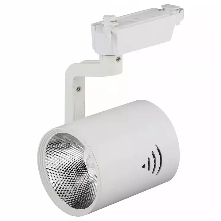 Светильник на штанге Эра TR1 TR1 - 30 WH 0_ER_B0032099.webp big