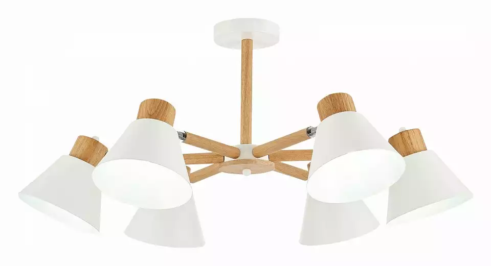 Люстра на штанге EVOLUCE Buve SLE103702-06 0_EVO_SLE103702-06.webp big