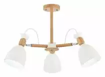 Люстра на штанге EVOLUCE Balcamo SLE103802-03 0_EVO_SLE103802-03.webp small