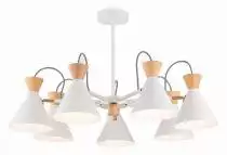Люстра на штанге EVOLUCE Modica SLE125102-07 1_EVO_SLE125102-07.webp small