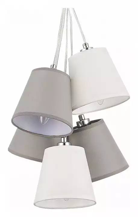 Подвесная люстра EVOLUCE Prato SLE300403-05 0_EVO_SLE300403-05.webp big