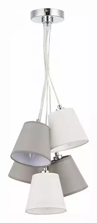 Подвесная люстра EVOLUCE Prato SLE300403-05 2_EVO_SLE300403-05.webp big