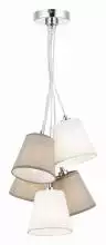 Подвесная люстра EVOLUCE Prato SLE300403-05 1_EVO_SLE300403-05.webp small