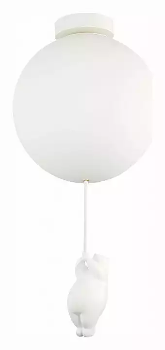 Накладной светильник EVOLUCE Modena SLE115412-01 1_EVO_SLE115412-01.webp big