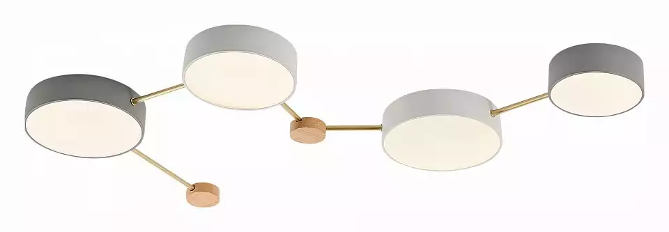 Накладной светильник EVOLUCE Dossena SLE600102-04 0_EVO_SLE600102-04.webp big