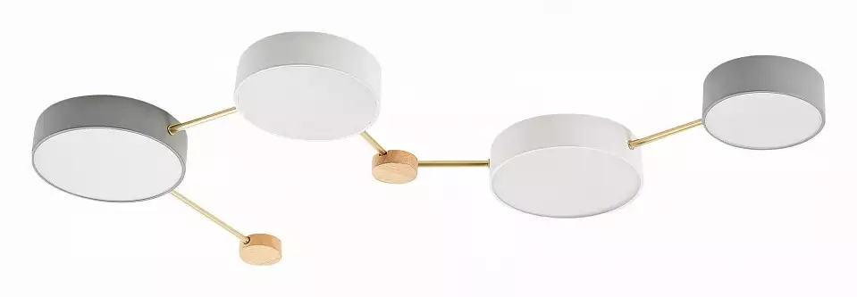 Накладной светильник EVOLUCE Dossena SLE600102-04 1_EVO_SLE600102-04.webp big