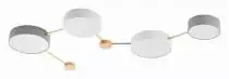 Накладной светильник EVOLUCE Dossena SLE600102-04 1_EVO_SLE600102-04.webp small