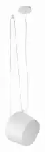 Подвесной светильник EVOLUCE Trieste SLE120653-01 1_EVO_SLE120653-01.webp small