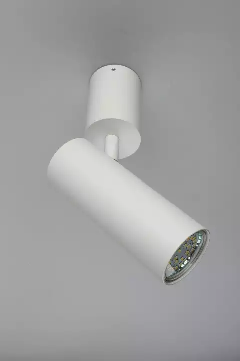Спот Aployt Berenis APL.007.02.01 2_AP_APL.007.02.01.webp big