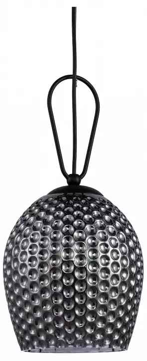 Подвесной светильник Indigo Armonia 11001/1P Black 0_INDG_V000085.webp big