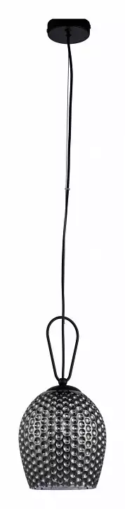 Подвесной светильник Indigo Armonia 11001/1P Black 1_INDG_V000085.webp big