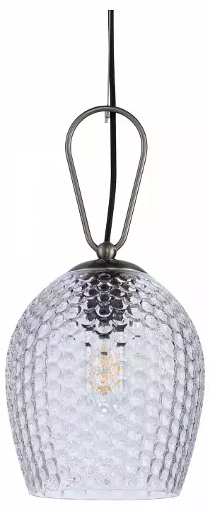Подвесной светильник Indigo Armonia 11001/1P Nickel 0_INDG_V000086.webp big