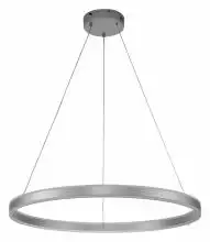 Подвесной светильник Indigo Galass 14001/1P Silver 1_INDG_V000018L.webp small